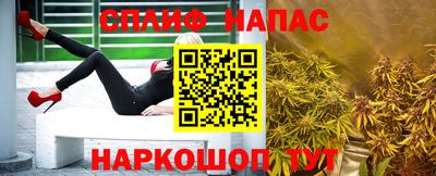 хмурый Кингисепп