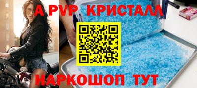 хмурый Кингисепп