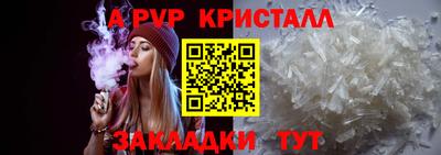 хмурый Кингисепп
