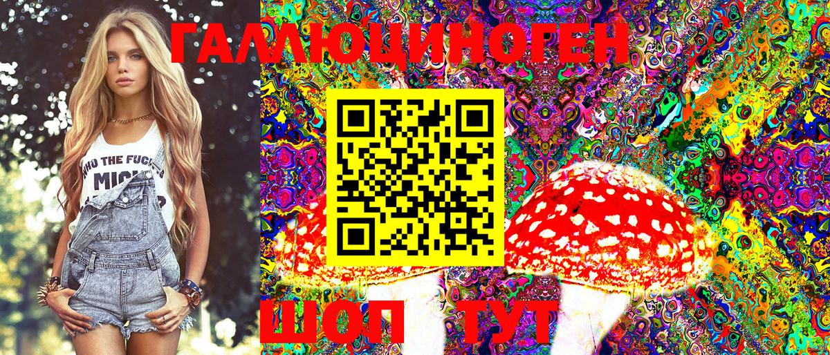 Галлюциногенные грибы Magic Shrooms  Псилоцибиновые грибы GOLDEN TEACHER  Вход с VPN  Кропоткин 