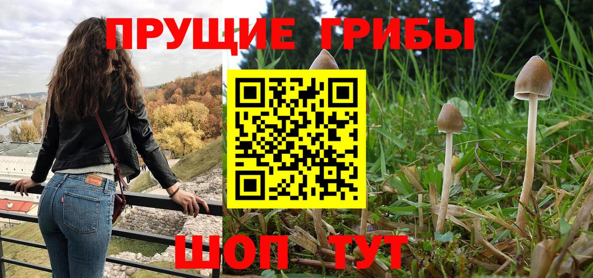 Галлюциногенные грибы мицелий Кропоткин